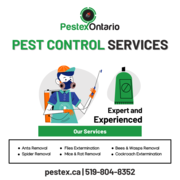 Hamilton Pest Control