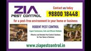Rodent Pest Control Residences and Apartments |
