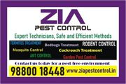 Anti Termite Treatment Special Discount price | 704