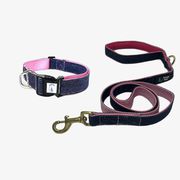 Buy Dog Neck Belts Online – Premium Dog Collars at Krazzy Pets